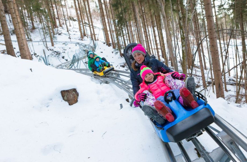 media.Tarvisio_F_Gallina 2015-9987